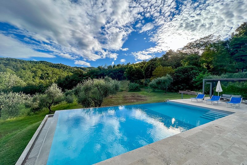 Una piscina circondata da prato verde, alberi e un cielo azzurro.