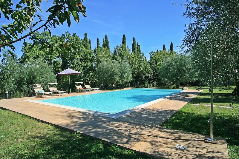 Una piscina circondata da alberi e piante, con mobili da esterno per il relax e il divertimento.
