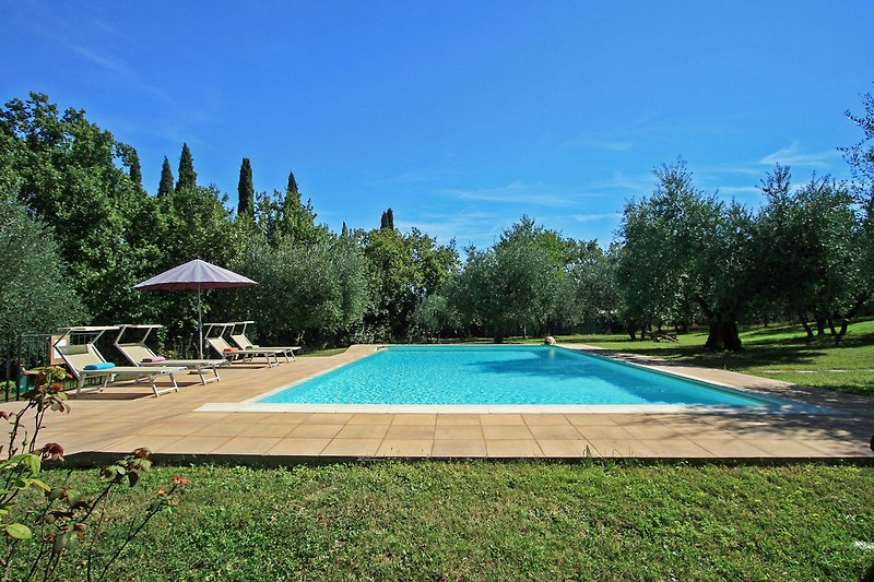 Una piscina circondata da alberi e piante, con mobili da esterno per il relax e il divertimento.