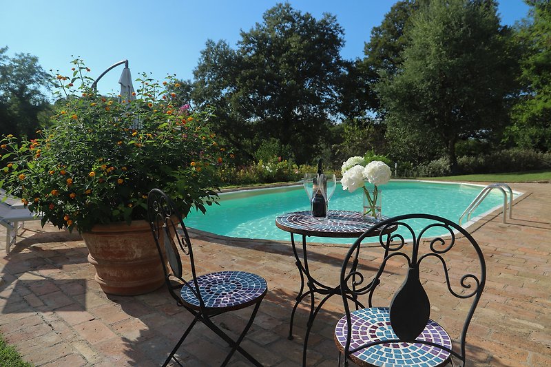 Una piscina con mobili da esterno, circondata da piante e fiori.
