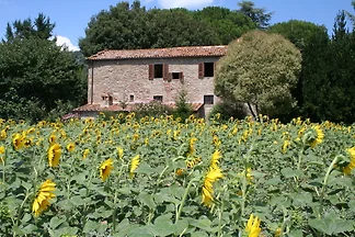 Ferienh user Ferienwohnungen in der Arezzo Region ab 62 mieten