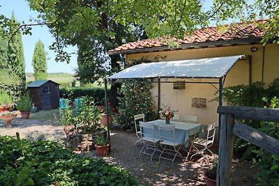 Holiday home relaxing holiday Siena