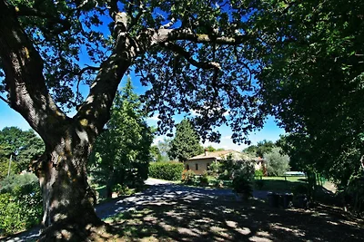 THE AVENUE