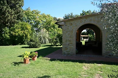 THE AVENUE