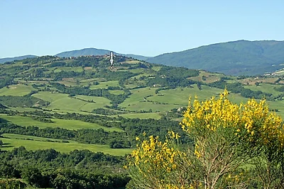 VIRGILIUS
