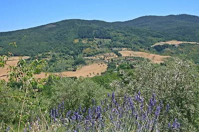 LA MADONNA