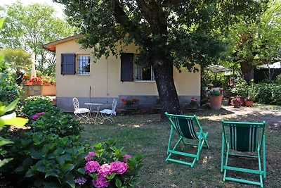 Ferienhaus Erholungsurlaub Siena
