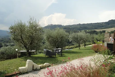 Il Vecchio Acero - Girasole