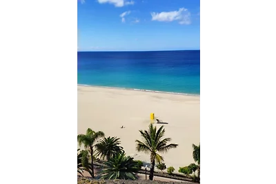 Winmar Paradise 1