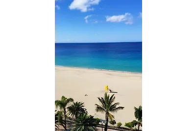 Winmar Paradise