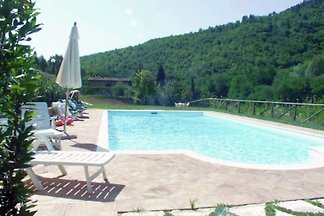 Mulino