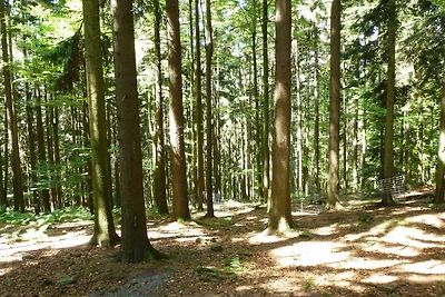 Bayerischer Wald / Arrach Haus 58 Fewo EG...