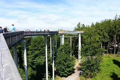 Bayerischer Wald / Arrach Haus 55 Fewo EG