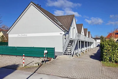 Zaunkönig Wohnung 07
