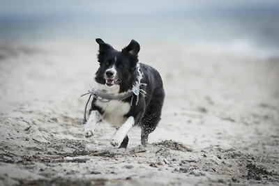 White Pearl Luxusapartment mit Sauna 2.03