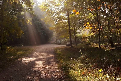 Ferienhaus Gartenblick