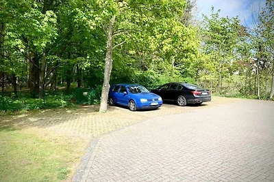 Haus Diana Fewo Molenfeuer