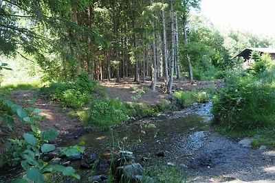 Bayerischer Wald / Arrach Haus 89 Fewo EG