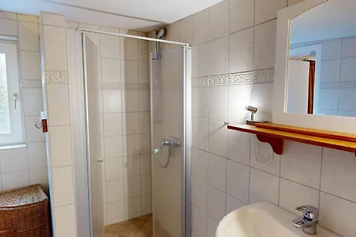 Gollendorf "Vier Pfoten"