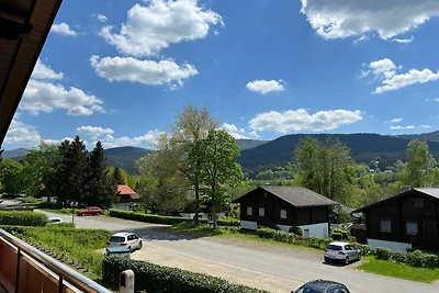Bayerischer Wald / Arrach Haus 68 Bergblick F...