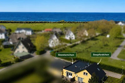Seesternchen + Seepferdchen