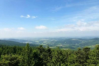 Bayerischer Wald / Arrach Haus 55 Fewo EG