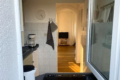 Ostseemöwe