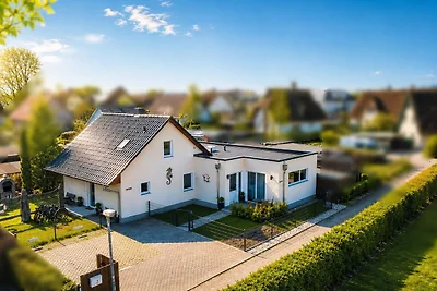Seesternchen + Seepferdchen