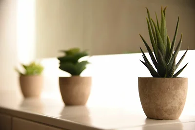 apartman za odmor Obiteljski odmor Kühlungsborn