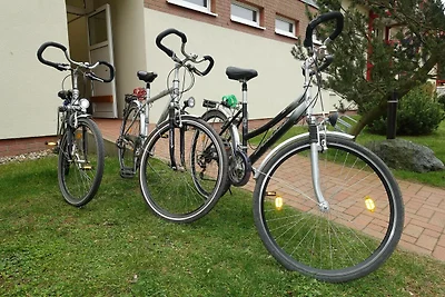 Vakantieappartement Gezinsvakantie Kühlungsborn