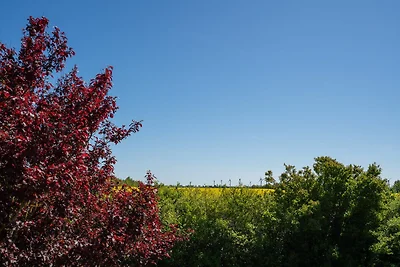 Wenkendorf "Lille Lykke"