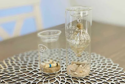 Haus Diana Fewo Molenfeuer und Waldblick