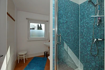 Macoma Baltica Wohnung 01
