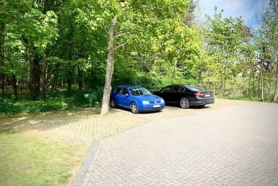 Haus Diana Fewo Molenfeuer und Waldblick