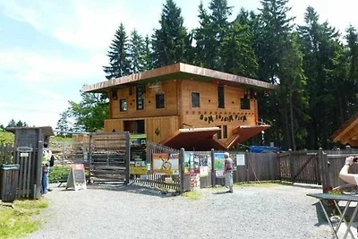 Bayerischer Wald / Arrach Haus 55 Fewo EG