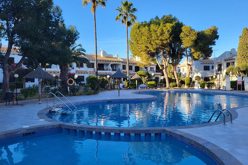 Schwimmbad, Palmen und blauer Himmel - Entspannung pur in dieser Ferienwohnung