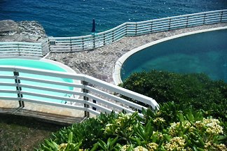 ELBA october 300 EUR FOR 7 DAYS