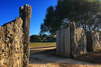 Quinta das Asas - Stone Castle