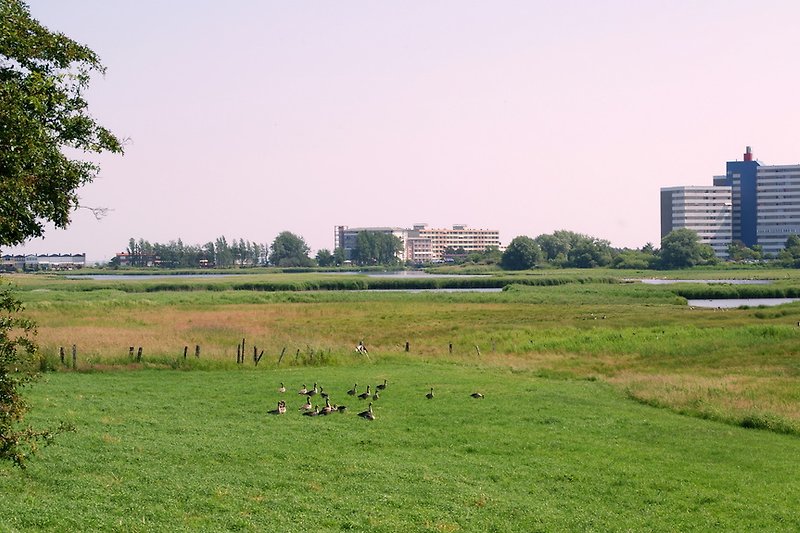 Ferienpark