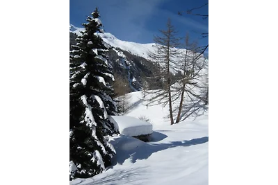 Plein Soleil