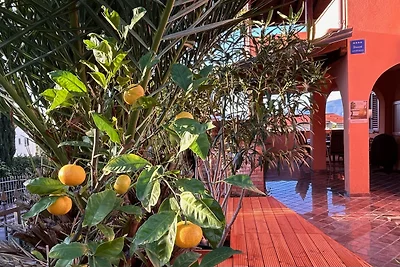 4**** Apartments Sunce i More