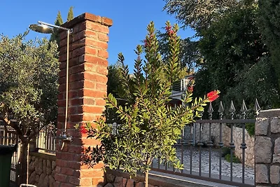 4**** Apartments Sunce i More