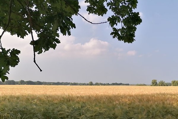 Frau R. Köster Frau R. Köster