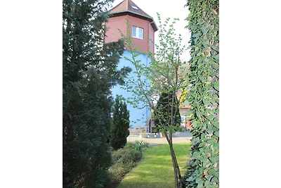 Torre dell'acqua + giardino e fienile da gioco