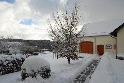 Holiday home relaxing holiday Winterscheid