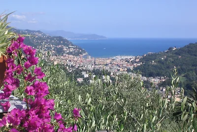 Sognando Villa Edera