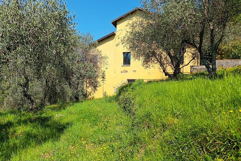 Das Haus im Olivenhain 