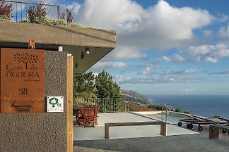 Fig TREE HOUSE