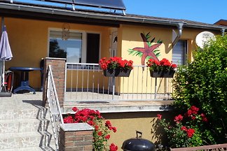 Toller Kurzurlaub mit Hund