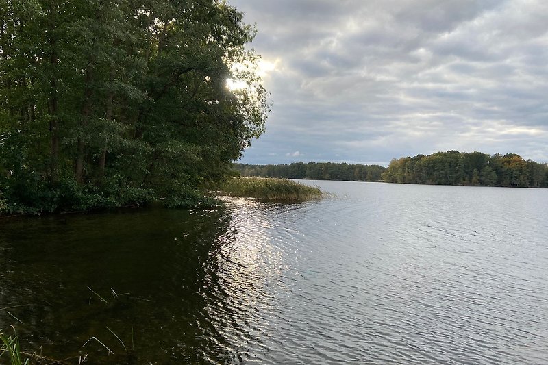 Wunderschöner See mit Wald und Wolken am Horizont.